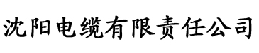 亚洲狠狠躁一区二区三区电缆厂logo